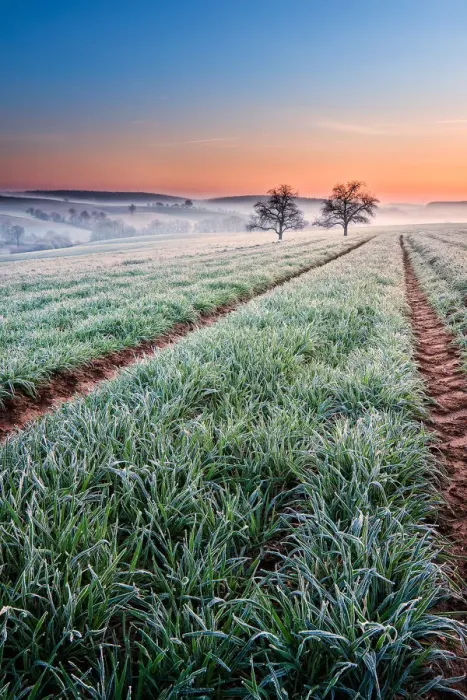 Framed Print : Daybreak spring in Kraichgau Framed Print : Daybreak spring in Kraichgau