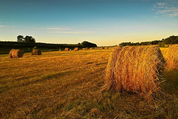 Days End. The waning rays of the sun illuminate a freshly-baled hay field