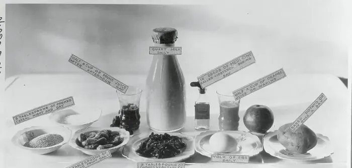 Framed Print : Day's Ration of Food Framed Print : Day's Ration of Food