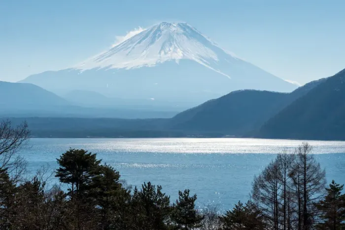 Framed Print : Dazzling Fuji in spring Framed Print : Dazzling Fuji in spring