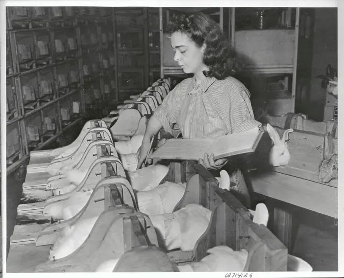 Framed Print : DDT Researcher Working with Chemical in Laboratory Framed Print : DDT Researcher Working with Chemical in Laboratory