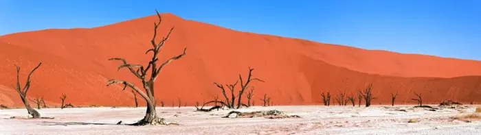 Framed Print : Dead Acacia trees, Dead Vlei, Namib Desert, Namibia, Africa Framed Print : Dead Acacia trees, Dead Vlei, Namib Desert, Namibia, Africa