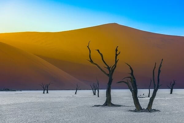 The Dead Acacia Trees and Sand Dunes Landscape at Dead Vlei, Namib Desert, Namibia