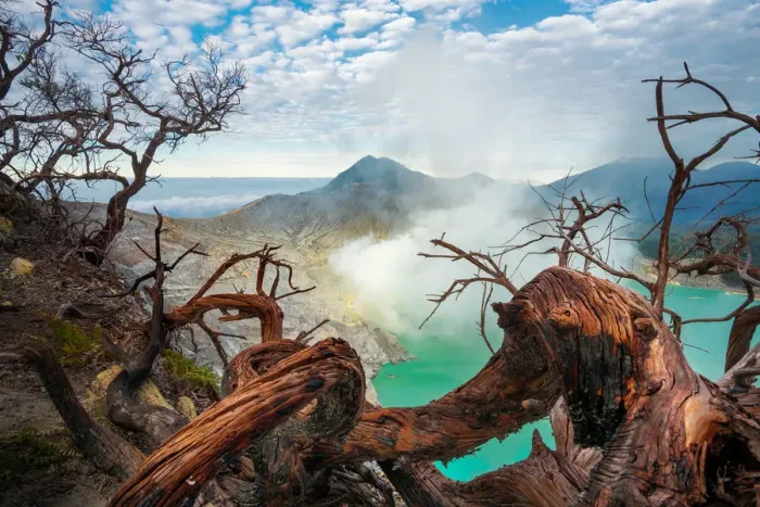 Framed Print : The dead branches and Ijen crater Framed Print : The dead branches and Ijen crater