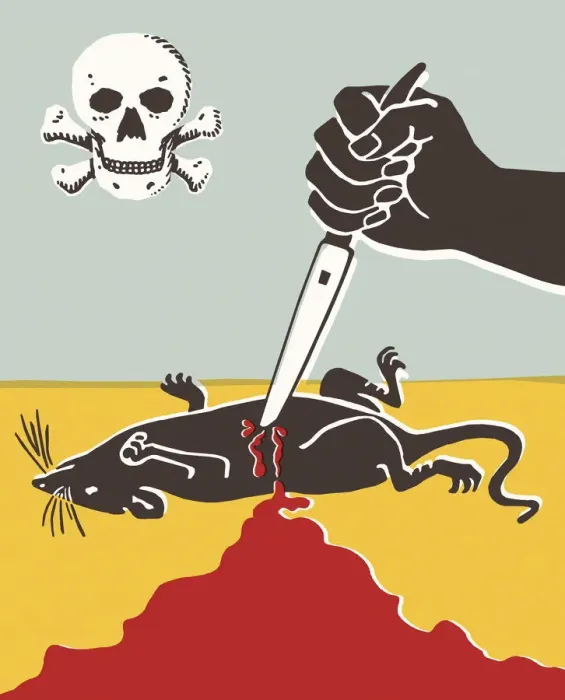 Framed Print : Dead rat. http: / / csaimages.com / images / istockprofile / csa_vector_dsp.jpg Framed Print : Dead rat. http: / / csaimages.com / images / istockprofile / csa_vector_dsp.jpg