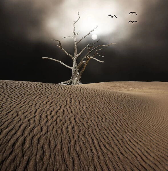 Dead tree stands on dune against moonlit sky