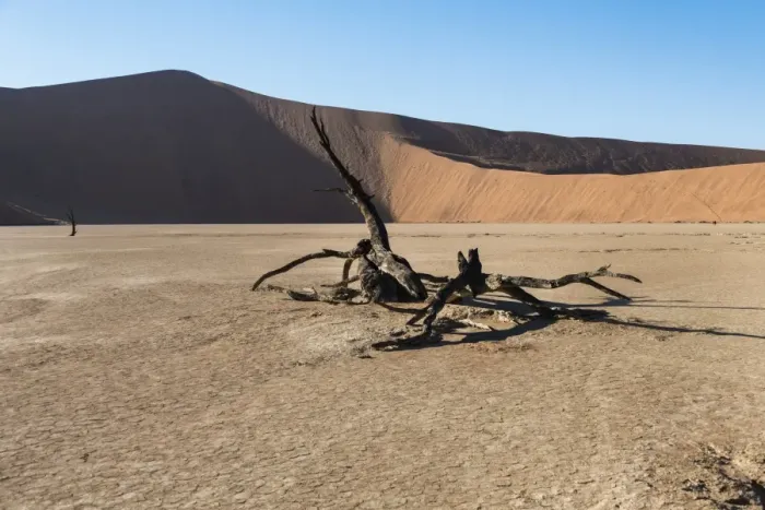 Framed Print : Dead tree in the salt and clay pan, Deadvlei, Sossusvlei, Namib Desert, Namibia Framed Print : Dead tree in the salt and clay pan, Deadvlei, Sossusvlei, Namib Desert, Namibia
