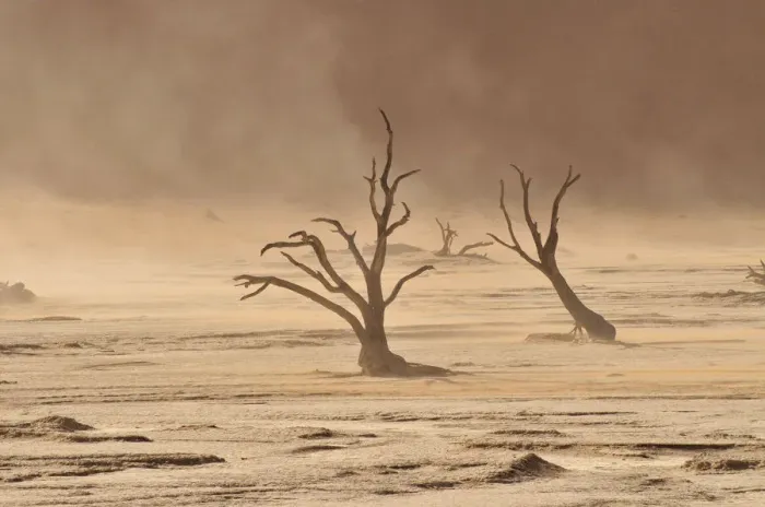Framed Print : Dead trees in the Dead Vlei, Deadvlei clay pan during a sandstorm, Namib Desert, Namib-Naukluft National Park, Namibia, Africa