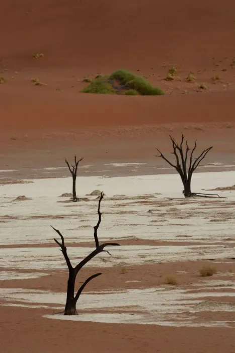 Framed Print : Dead trees in Dead Vlei or Deadvlei, Namib, Hardap Region, Namibia