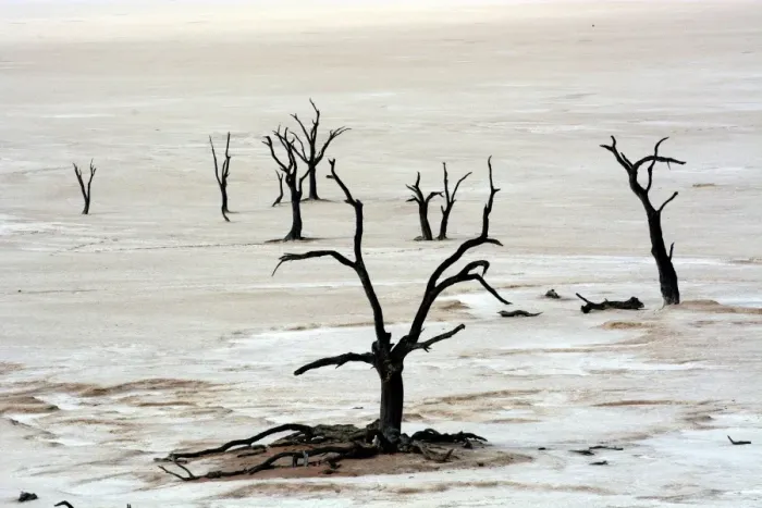 Framed Print : Dead trees in Dead Vlei or Deadvlei, Namib, Hardap Region, Namibia Framed Print : Dead trees in Dead Vlei or Deadvlei, Namib, Hardap Region, Namibia