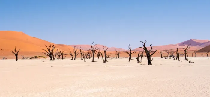 Framed Print : Dead trees in Dead Vlei, Namibia Framed Print : Dead trees in Dead Vlei, Namibia