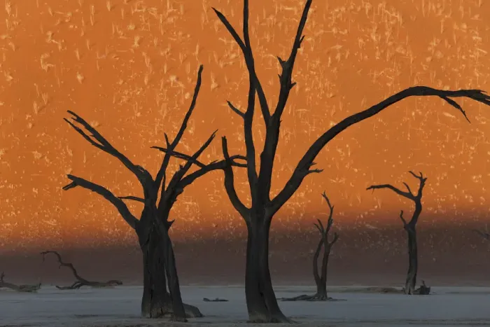 Framed Print : Dead Trees, Dry Clay Pan, Dead Vlei, Namibia Framed Print : Dead Trees, Dry Clay Pan, Dead Vlei, Namibia