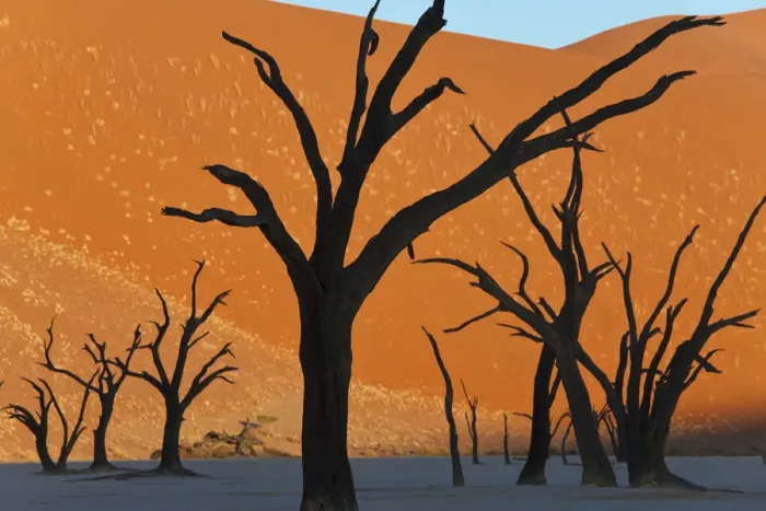 Framed Print : Dead Vlei, Soussusvlei, Namibia, Africa Framed Print : Dead Vlei, Soussusvlei, Namibia, Africa