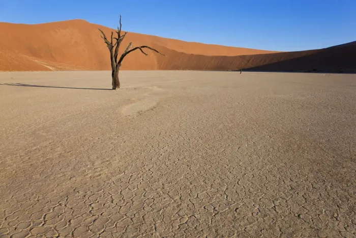 Framed Print : Dead Vlei, Soussusvlei, Namibia, Africa Framed Print : Dead Vlei, Soussusvlei, Namibia, Africa