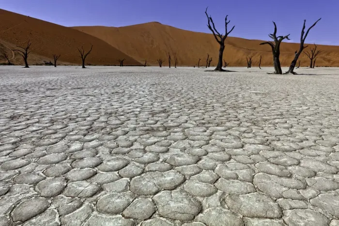 Framed Print : Dead Vlei in Sussusvlei, Namibia Framed Print : Dead Vlei in Sussusvlei, Namibia