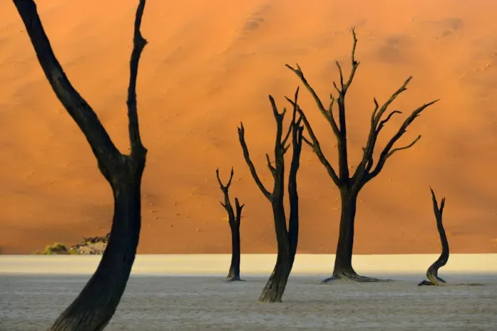 Framed Print : Deadvlei #3 Framed Print : Deadvlei #3