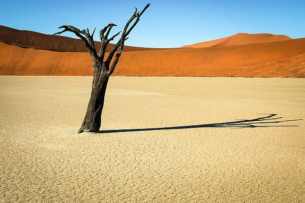 Deadvlei, Namibia, Africa