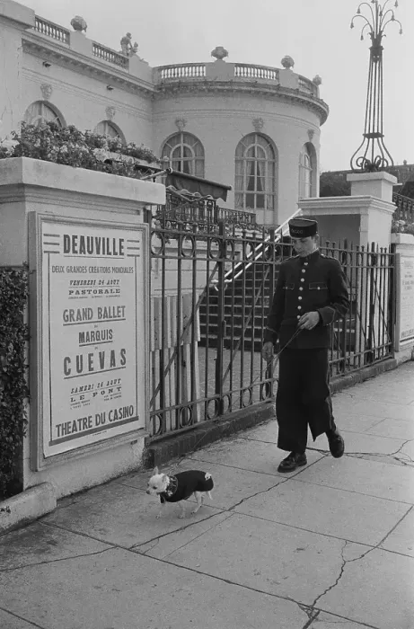 Framed Print : Deauville Dog Walker Framed Print : Deauville Dog Walker
