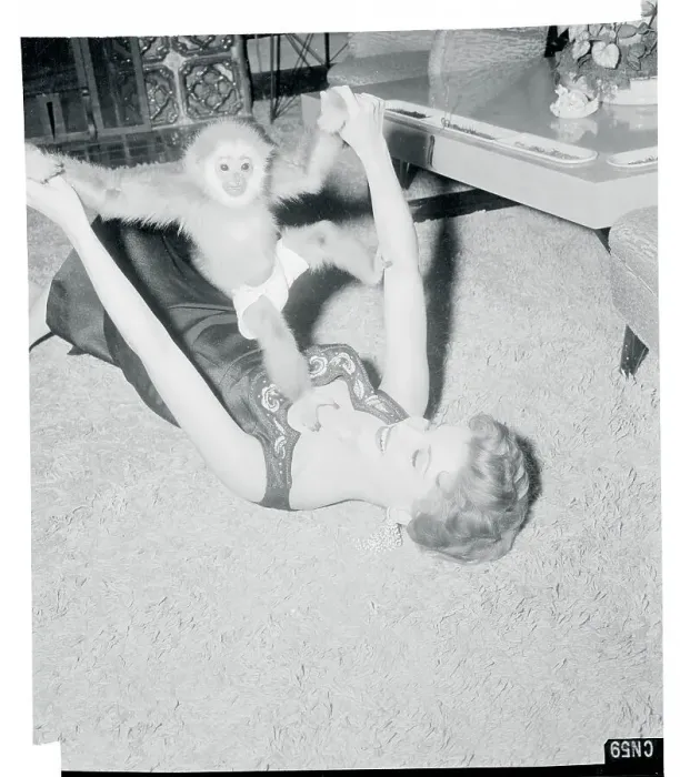 Framed Print : Debra Paget Playing with Her Pet Gibbon Framed Print : Debra Paget Playing with Her Pet Gibbon