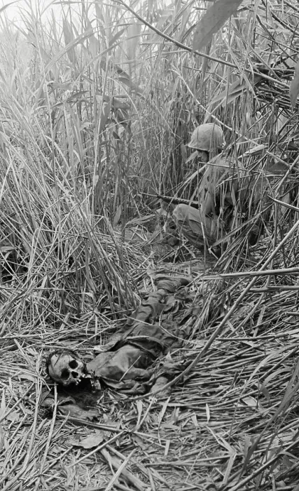 Framed Print : Decomposed Remains and Items in Vietnamese Grassland Framed Print : Decomposed Remains and Items in Vietnamese Grassland