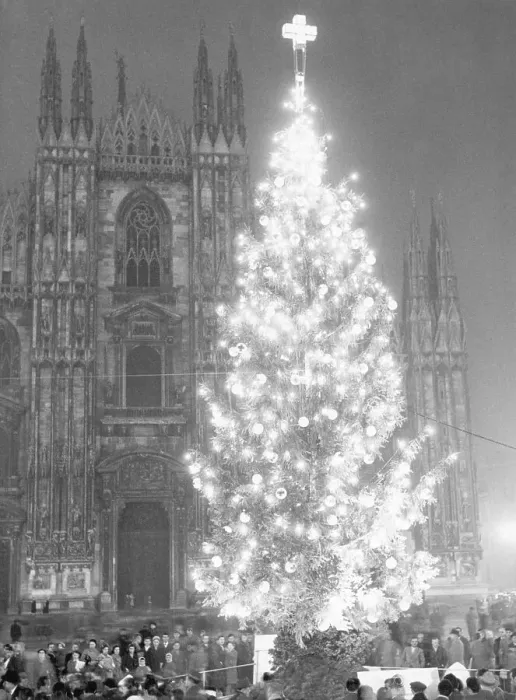 Framed Print : Decorated Christmas Tree in Italy Framed Print : Decorated Christmas Tree in Italy