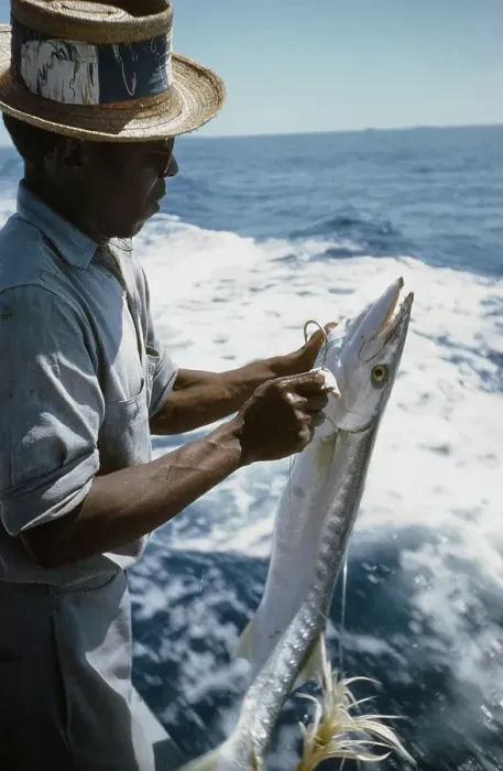 Framed Print : Deep Sea Fishing Framed Print : Deep Sea Fishing