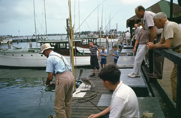 Framed Print : Deep Sea Fishing Framed Print : Deep Sea Fishing