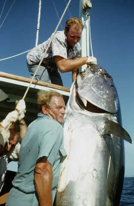 Framed Print : Deep Sea Fishing, Cat Cay Island, Bahamas Framed Print : Deep Sea Fishing, Cat Cay Island, Bahamas