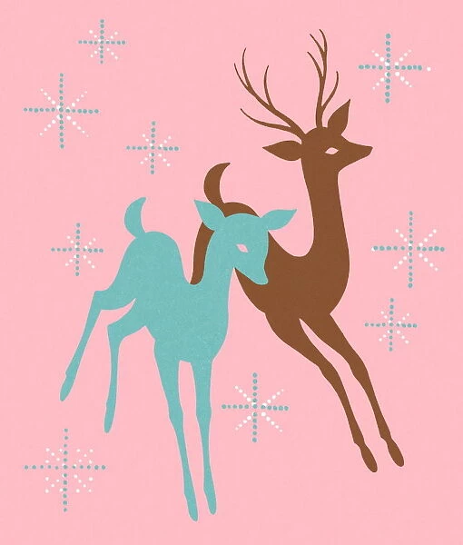 Two Deer. http: /  / csaimages.com / images / istockprofile / csa_vector_dsp.jpg