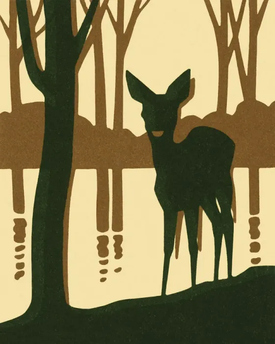 Framed Print : Deer Standing By a Lake Framed Print : Deer Standing By a Lake
