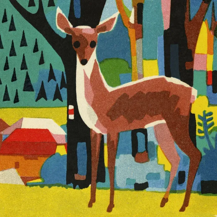 Framed Print : Deer in the Woods Framed Print : Deer in the Woods