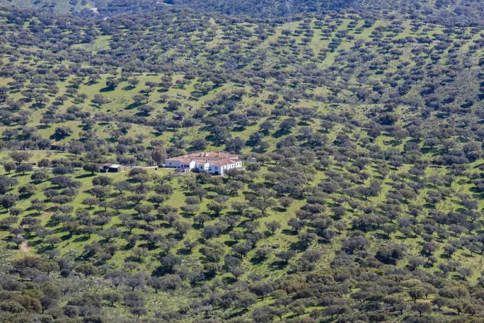 Framed Print : Dehesa of Extremadura, Monfraguee National Parks, UNESCO biosphere reserve, Extremadura, Spain