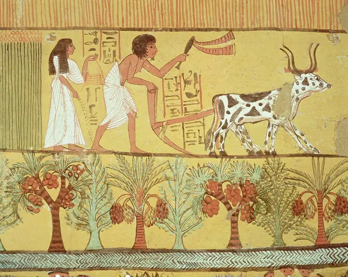 Framed Print : Deir el-Medina, Thebes, Egypt Framed Print : Deir el-Medina, Thebes, Egypt