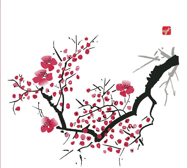 Delicate Cherry Blossom Illustration