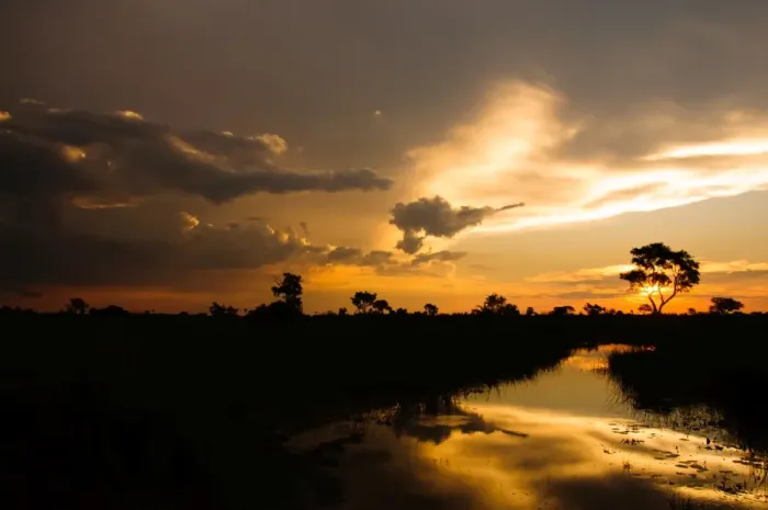 Framed Print : Delta Sunset Framed Print : Delta Sunset