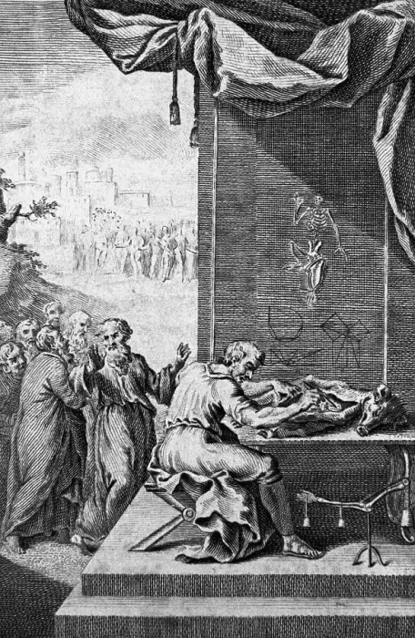 Framed Print : Democritus Treats Patient;Illust.;Hippoc