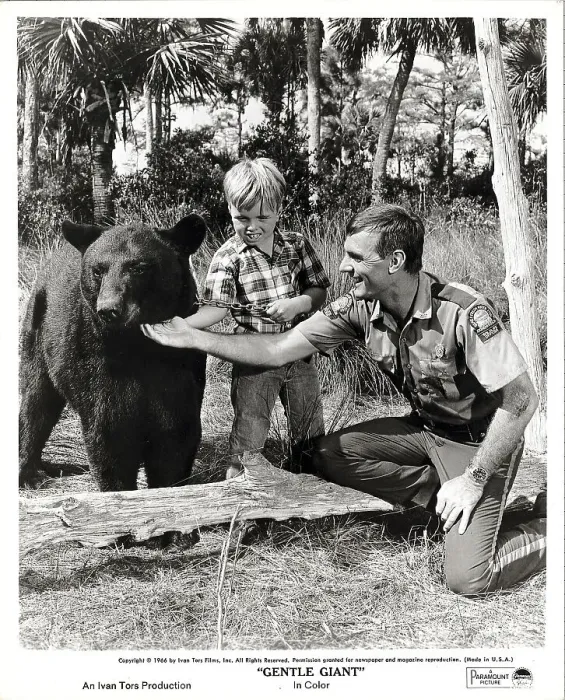 Framed Print : Dennis Weaver And Boy Petting Black Bear Framed Print : Dennis Weaver And Boy Petting Black Bear