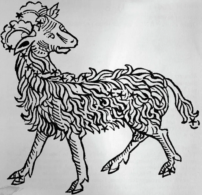 Framed Print : Depiction Of The Zodiac Sign Aries; Ram