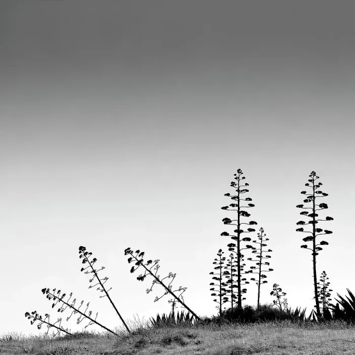 Framed Print : Desert, Almeria, Spain