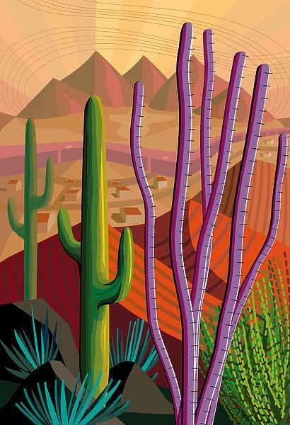 Desert, Cactus, Mountains Landscape Illustration