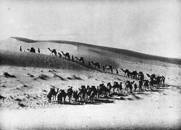 Framed Print : Desert Journey Framed Print : Desert Journey