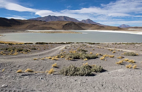 Desert landscape with lakes and mountains, Bolivia