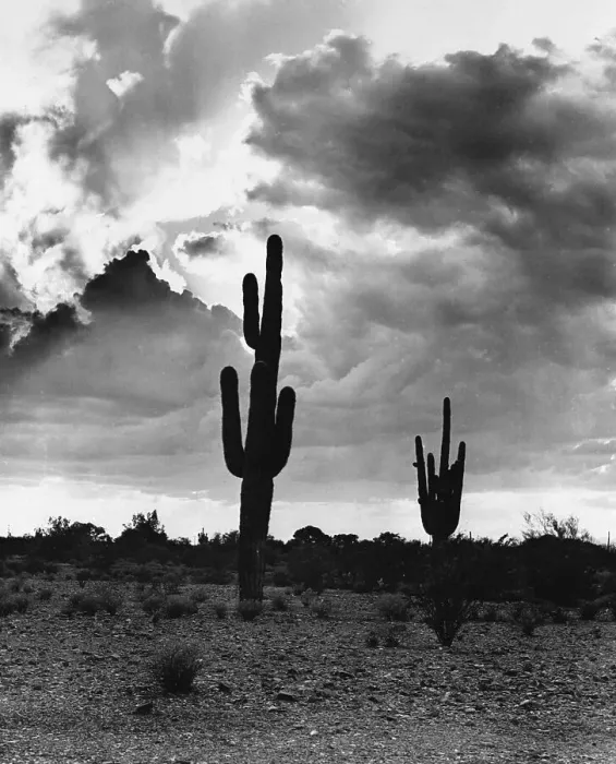 Framed Print : The Desert'- Photo By Sen. B.Goldwater Framed Print : The Desert'- Photo By Sen. B.Goldwater