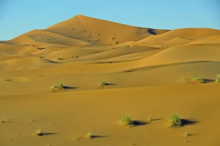 Framed Print : Desert, sand dune of Erg Chebbi, Morocco, Africa