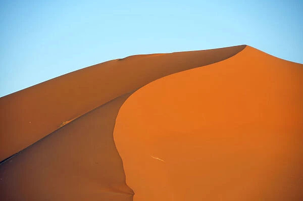 Desert, sand dune of Erg Chebbi, Morocco, Africa