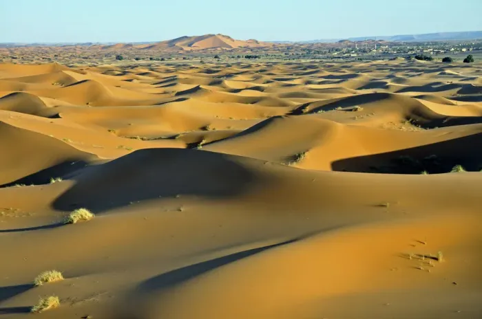 Framed Print : Desert, sand dune of Erg Chebbi, Morocco, Africa Framed Print : Desert, sand dune of Erg Chebbi, Morocco, Africa