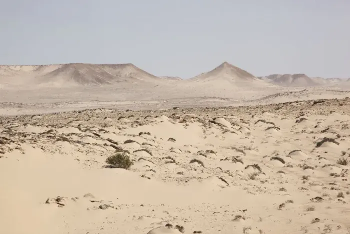 Framed Print : Desert with shrubs and hills, Dakhla, Western Sahara, Morocco Framed Print : Desert with shrubs and hills, Dakhla, Western Sahara, Morocco