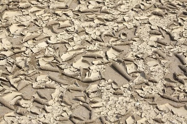 Desiccated sandy soil