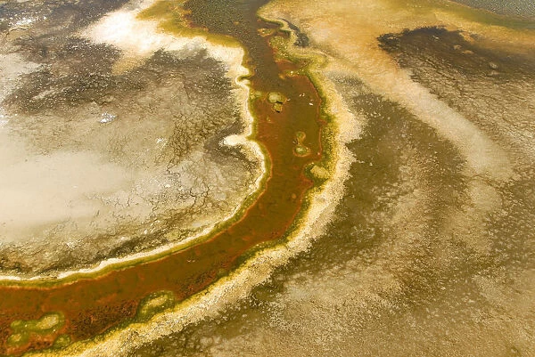 Detailed view of the discoloration caused by bacteria and algae on a geyser, Geyser Hill, Old Faithful Area, Yellowstone National Park, Wyoming, USA