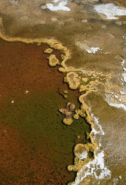 Detailed view of the discoloration caused by bacteria and algae on a geyser, Geyser Hill, Old Faithful Area, Yellowstone National Park, Wyoming, USA